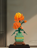 Golden Chrysanthemum